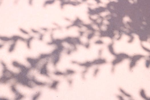  Claude电脑操控功能亮相；Anthropic推动AI智能体创新发展。 IT技术