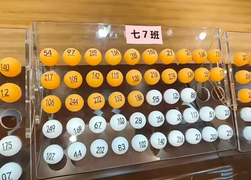  从「规则博弈」到「内功修炼」：随机分班政策的深层逻辑与应对策略 教育招生