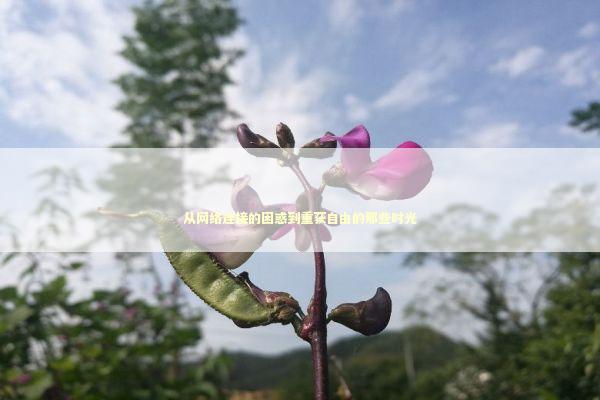 从网络连接的困惑到重获自由的那些时光 IT技术