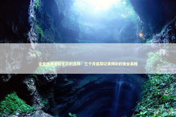企业技术主管王总的选择：三个月追踪记录揭示的安全真相 IT技术