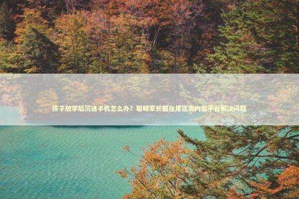 孩子放学后沉迷手机怎么办？聪明家长都在用这类内容平台解决问题 IT技术