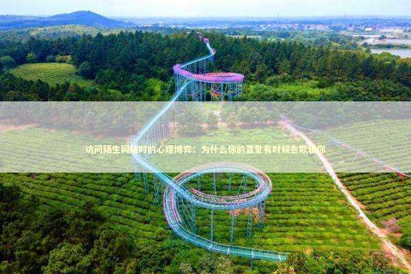 访问陌生网站时的心理博弈：为什么你的直觉有时候会欺骗你 IT技术