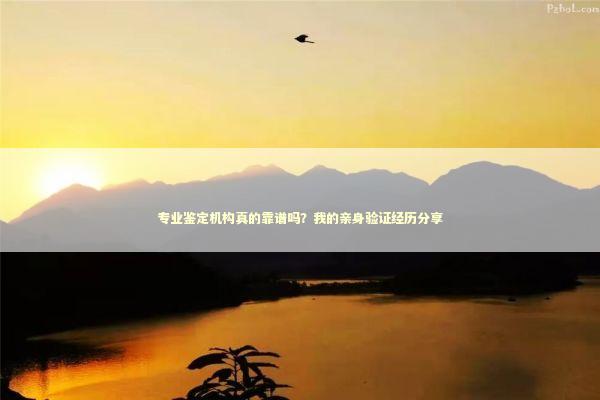 专业鉴定机构真的靠谱吗?我的亲身验证经历分享 专业鉴定机构真的靠谱吗?我的亲身验证经历分享 时尚用品