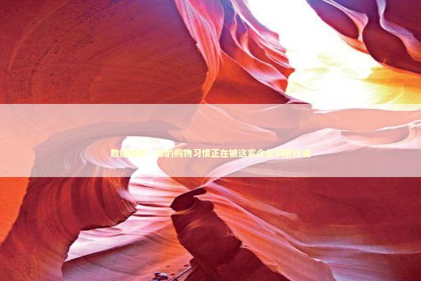 数据曝光！你的购物习惯正在被这家企业彻底改变